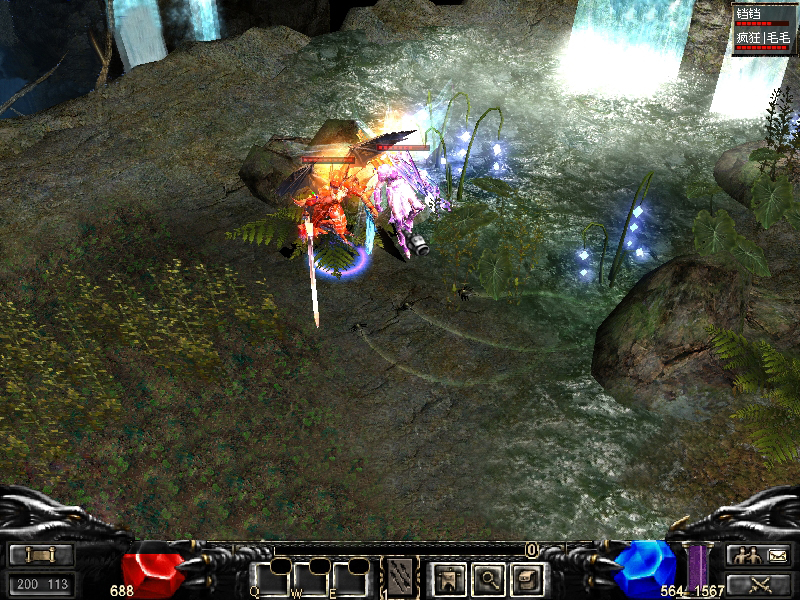 我和毛毛的合影